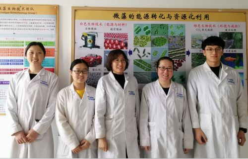 微藻生物技术研究组丝状微藻技术开发小组荣获青岛市女职工建功立业